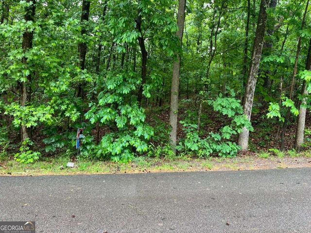 0 Lake Club Drive, Lavonia, GA 30553
