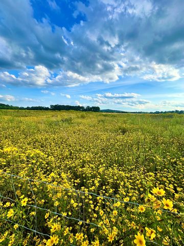 15201 State Highway 99, Eagleville, TN 37060