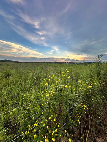 15201 State Highway 99, Eagleville, TN 37060