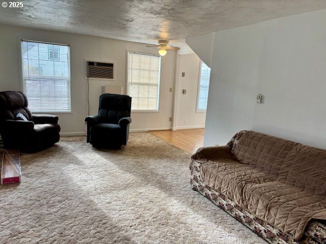 196 Ne FLAGG St, Roseburg, OR 97470