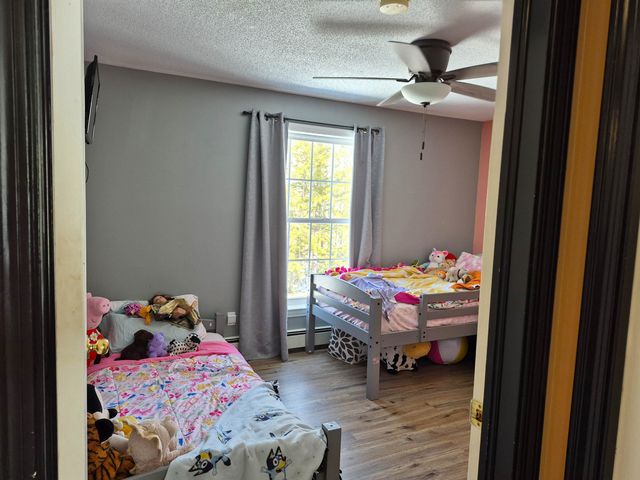 115 Moody Road, Effingham, NH 03882