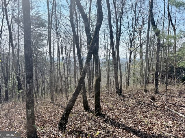 0 Roundtop Drive, Clayton, GA 30525