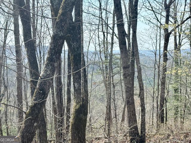0 Roundtop Drive, Clayton, GA 30525
