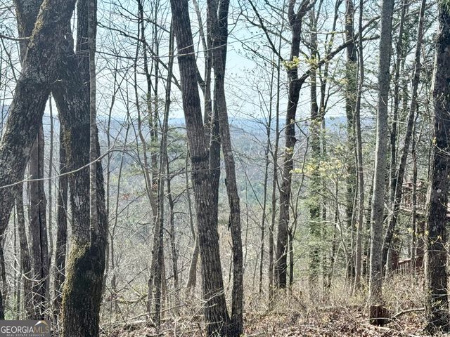 0 Roundtop Drive, Clayton, GA 30525