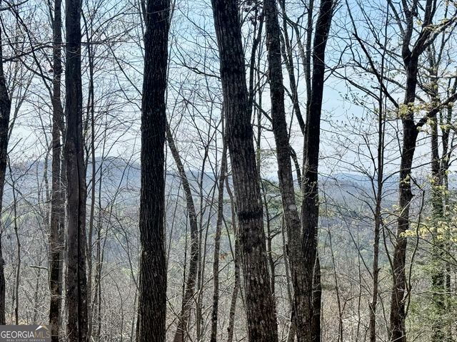 0 Roundtop Drive, Clayton, GA 30525