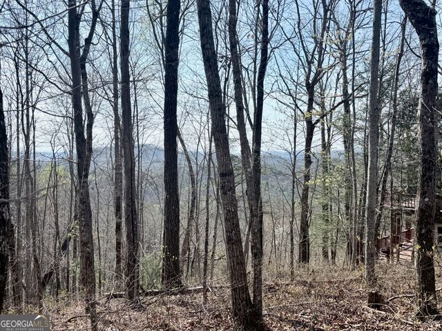 0 Roundtop Drive, Clayton, GA 30525