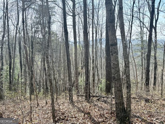 0 Roundtop Drive, Clayton, GA 30525