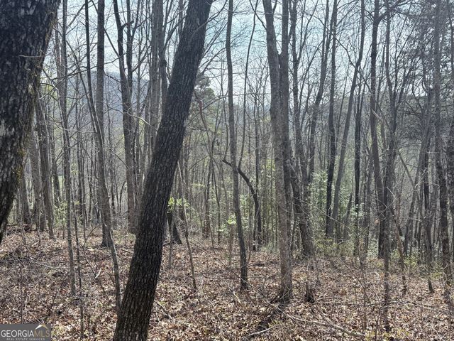 0 Roundtop Drive, Clayton, GA 30525