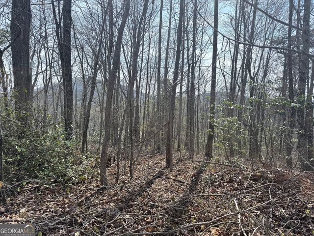 0 Roundtop Drive, Clayton, GA 30525