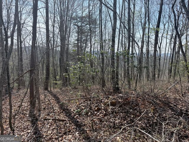 0 Roundtop Drive, Clayton, GA 30525