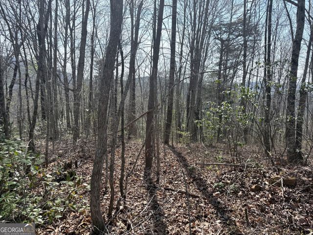 0 Roundtop Drive, Clayton, GA 30525
