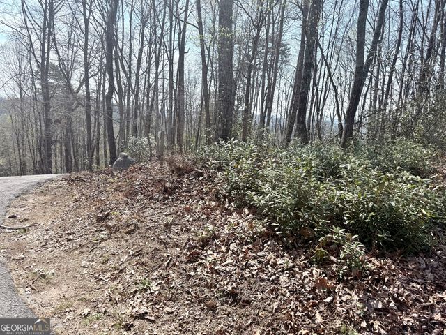 0 Roundtop Drive, Clayton, GA 30525