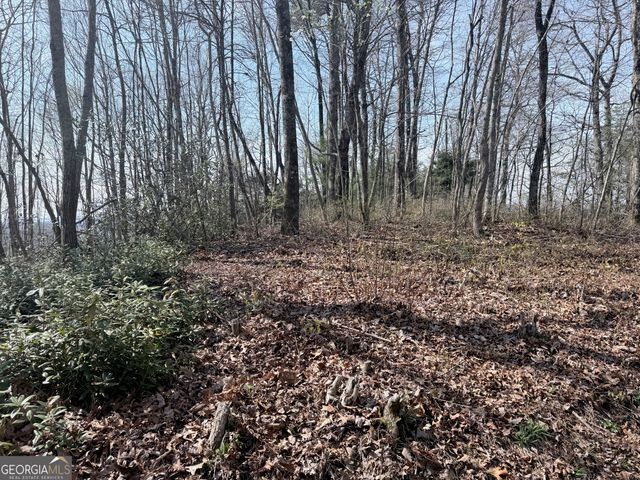 0 Roundtop Drive, Clayton, GA 30525