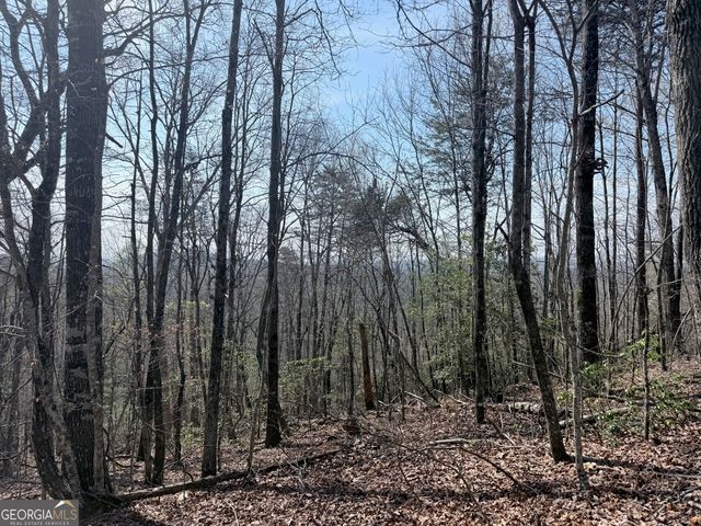 0 Roundtop Drive, Clayton, GA 30525