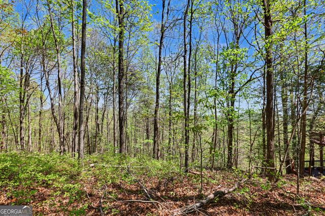 0 Roundtop Drive, Clayton, GA 30525