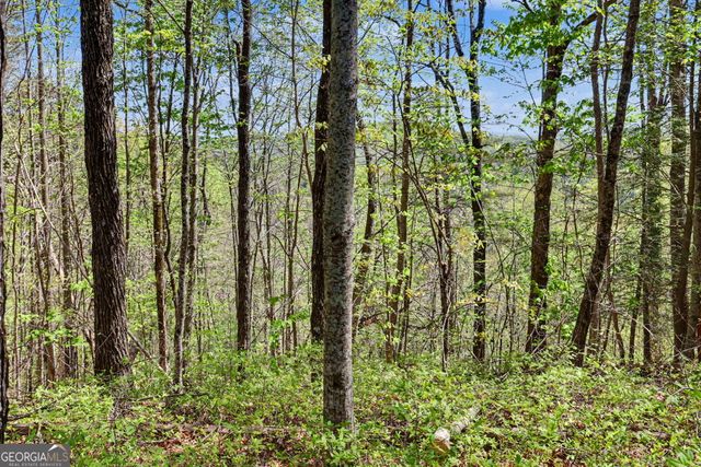 0 Roundtop Drive, Clayton, GA 30525