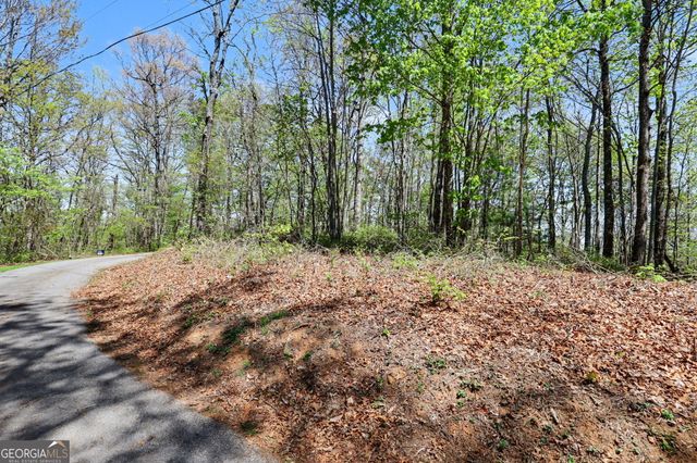0 Roundtop Drive, Clayton, GA 30525