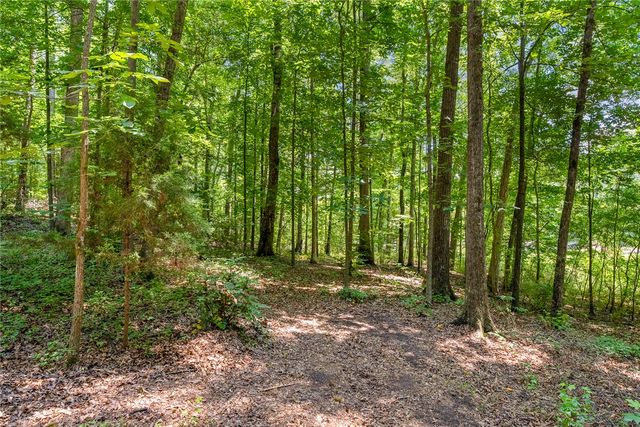 1029 White Pine Lane, Townville, SC 29689