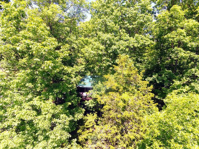 116 Cabin Drive, Russell Springs, KY 42642