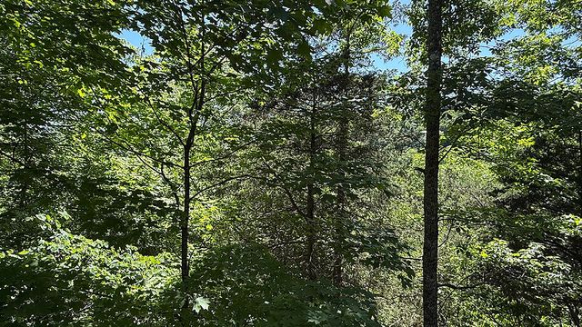 116 Cabin Drive, Russell Springs, KY 42642
