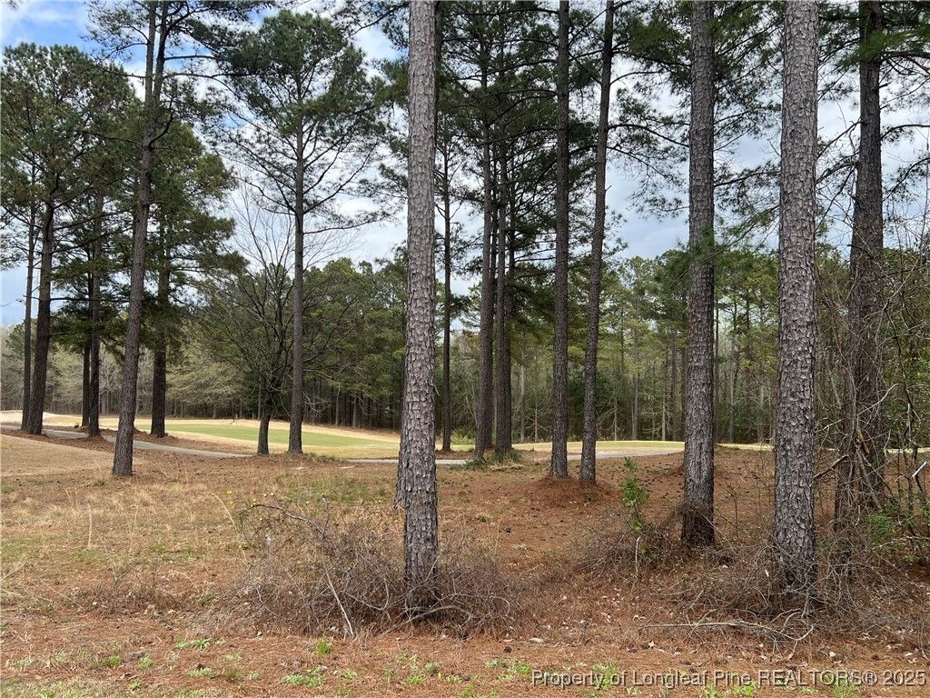 260 Gallery Drive 101, Spring Lake, NC 28390 — photo 23