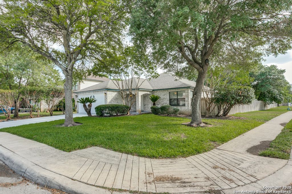 13502 Hickory Tavern, San Antonio, TX 78247