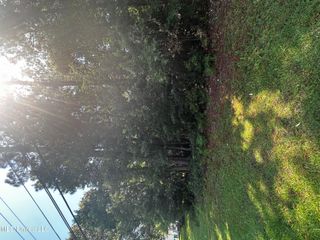 00 Dolphin Drive, Gautier, MS 39553