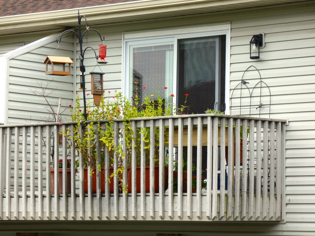2456 Grenadier Avenue N, Oakdale, MN 55128 — photo 3
