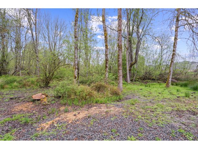 16907 Ne 24TH Ave, Ridgefield, WA 98642