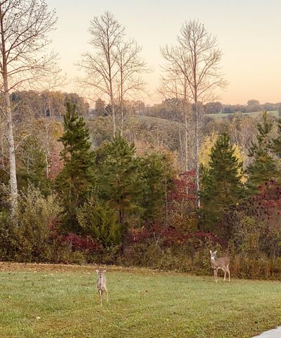 30 Horizon Lane, London, KY 40741