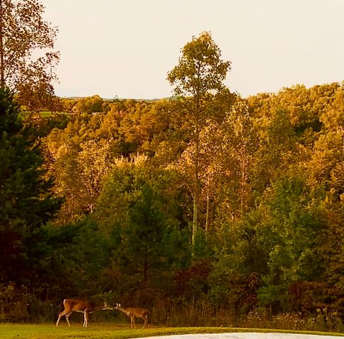 30 Horizon Lane, London, KY 40741