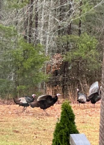 30 Horizon Lane, London, KY 40741