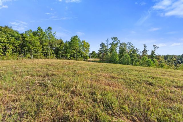0 Kro Hollow Rd, Hohenwald, TN 38462