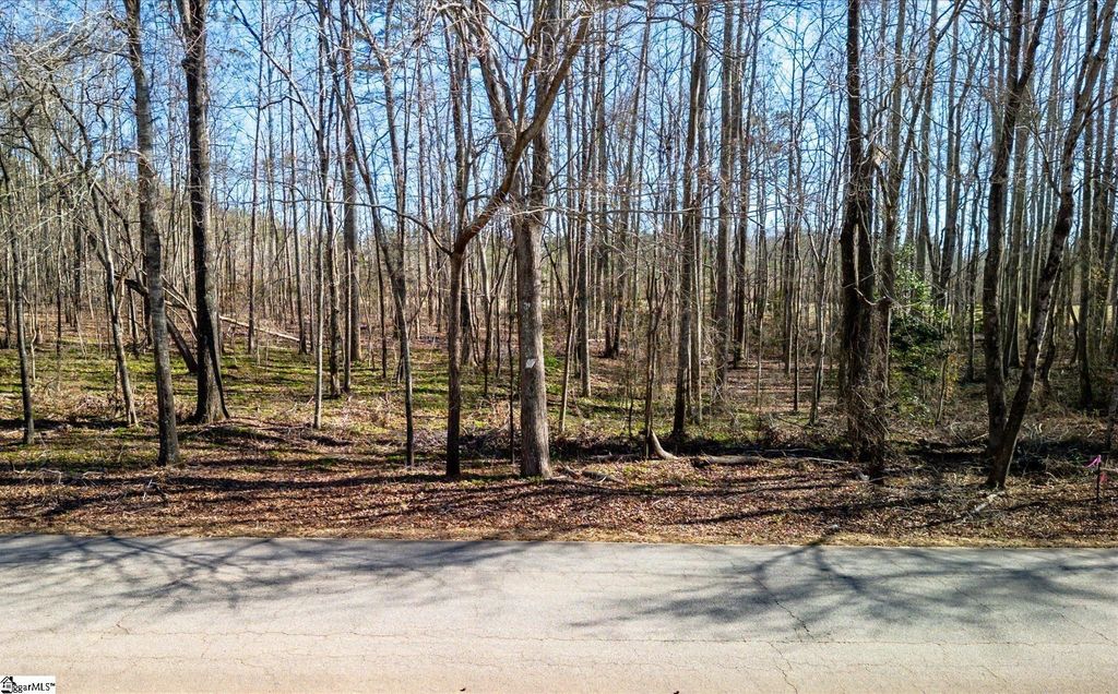 Broken Arrow Drive, Pelzer, SC 29669