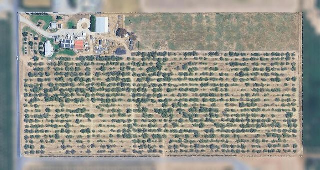 1313 S Stearns Rd, Oakdale, CA 95361