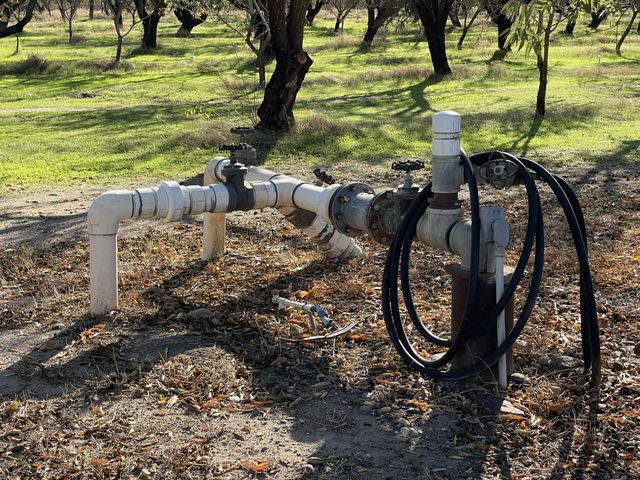 1313 S Stearns Rd, Oakdale, CA 95361