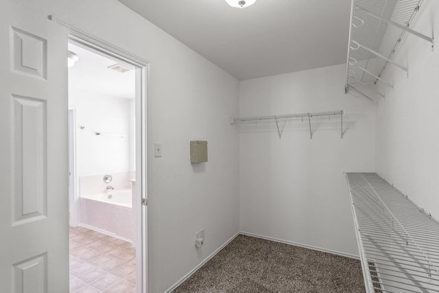 1404 Delia Chapa, Hutto, TX 78634
