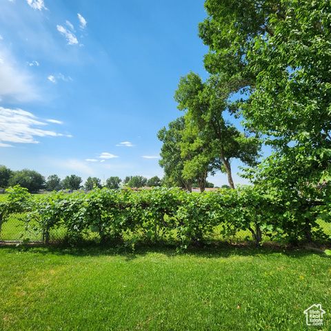 710 E 600 N, Roosevelt, UT 84066