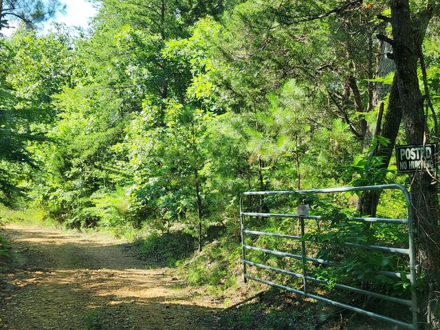 0 Sinking Creek Rd, Linden, TN 37096