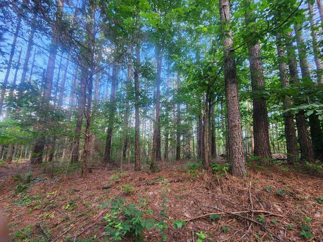 0 Sinking Creek Rd, Linden, TN 37096