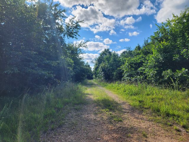 0 Sinking Creek Rd, Linden, TN 37096