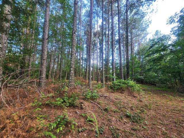 0 Sinking Creek Rd, Linden, TN 37096