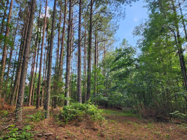 0 Sinking Creek Rd, Linden, TN 37096