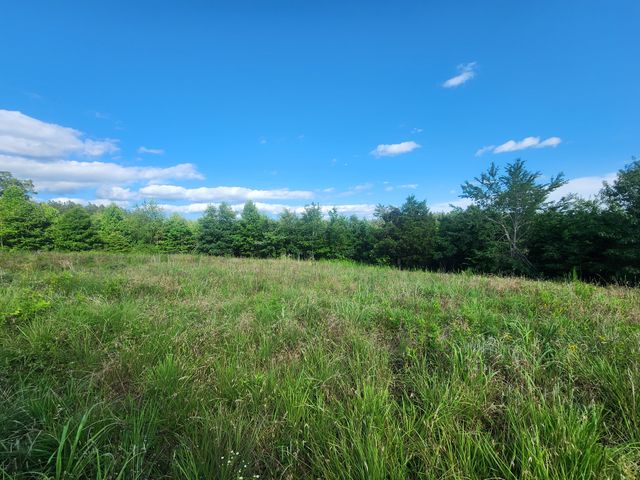 0 Sinking Creek Rd, Linden, TN 37096