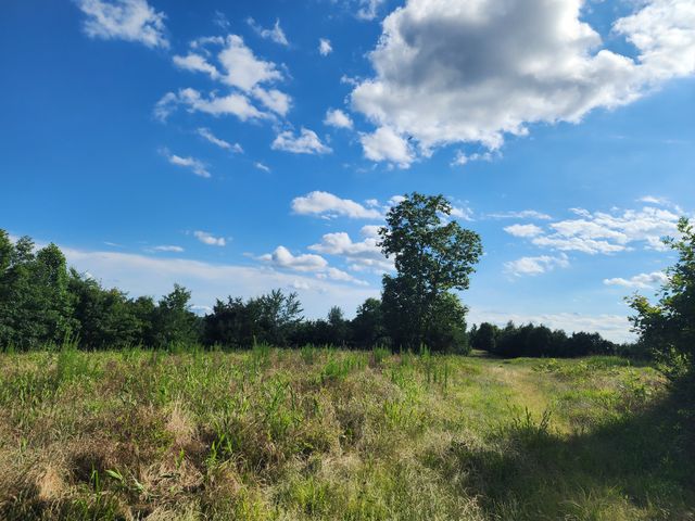 0 Sinking Creek Rd, Linden, TN 37096