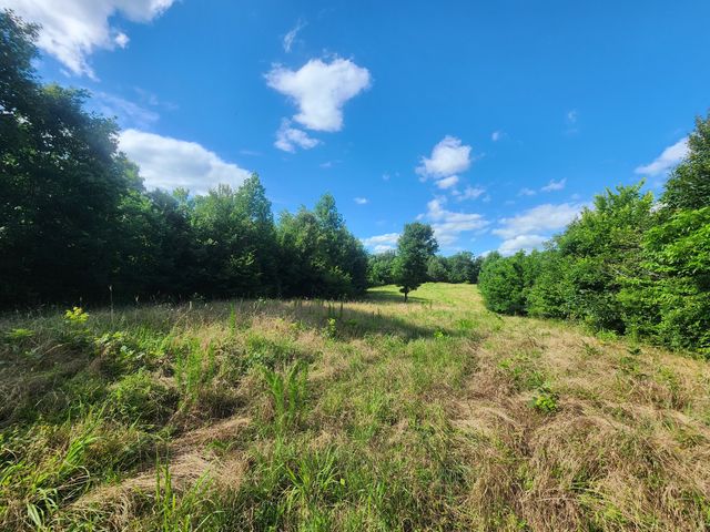 0 Sinking Creek Rd, Linden, TN 37096