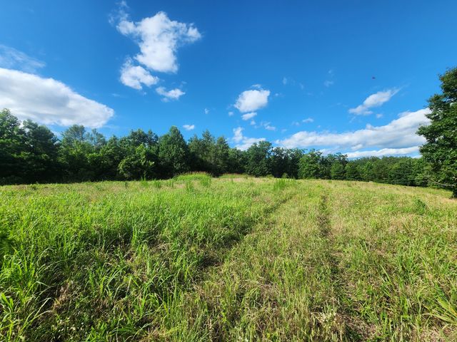 0 Sinking Creek Rd, Linden, TN 37096