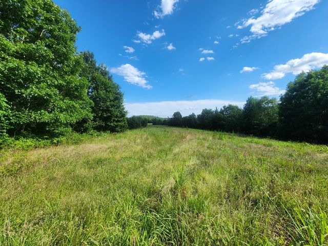 0 Sinking Creek Rd, Linden, TN 37096