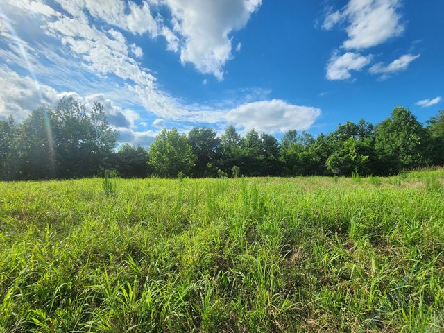 0 Sinking Creek Rd, Linden, TN 37096