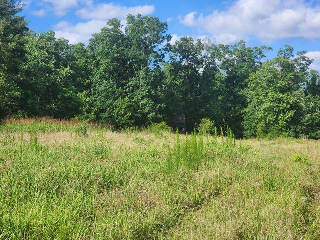 0 Sinking Creek Rd, Linden, TN 37096
